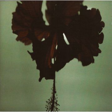DK7 - Disarmed