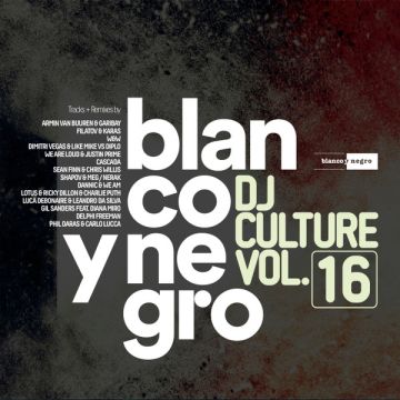 Various - Blanco Y Negro DJ Culture Vol.16