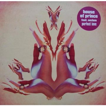 House Of Prince Feat. Oezlem - Perfect Love