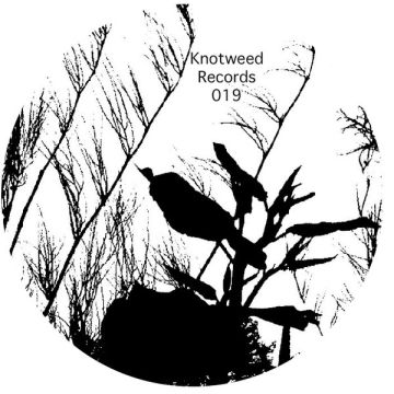 Various - Tales from the Dark Side E.P.