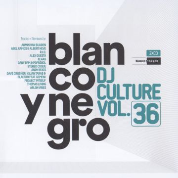 Various - Blanco Y Negro DJ Culture Vol.36