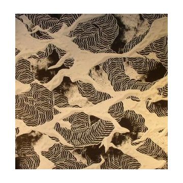 S Olbricht - Trancess  