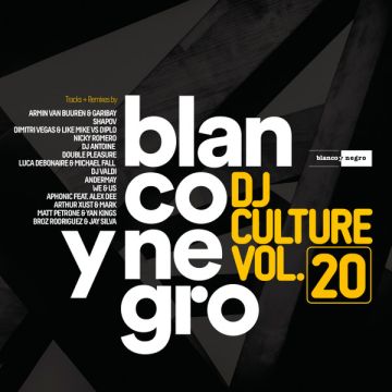 Various - Blanco Y Negro DJ Culture Vol.20