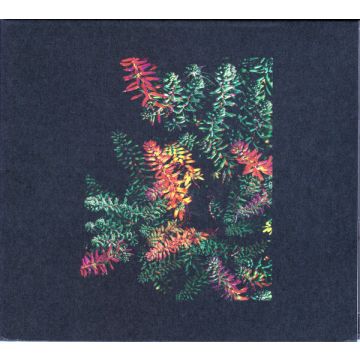 Dark Sky  - Othona