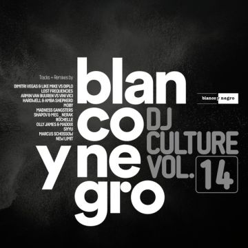 Various - Blanco Y Negro DJ Culture Vol.14