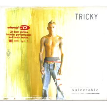 Tricky - Vulnerable