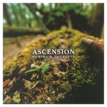 Nomine & Youngsta - Ascension