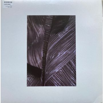 Roman Flügel - How To Spread Lies